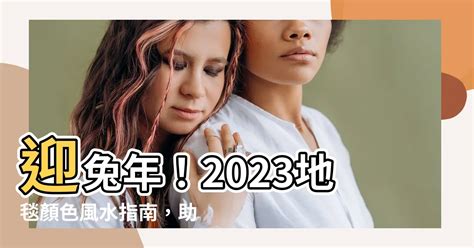 2023兔年地毯顏色